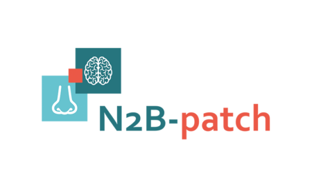 N2Bpatch Logo