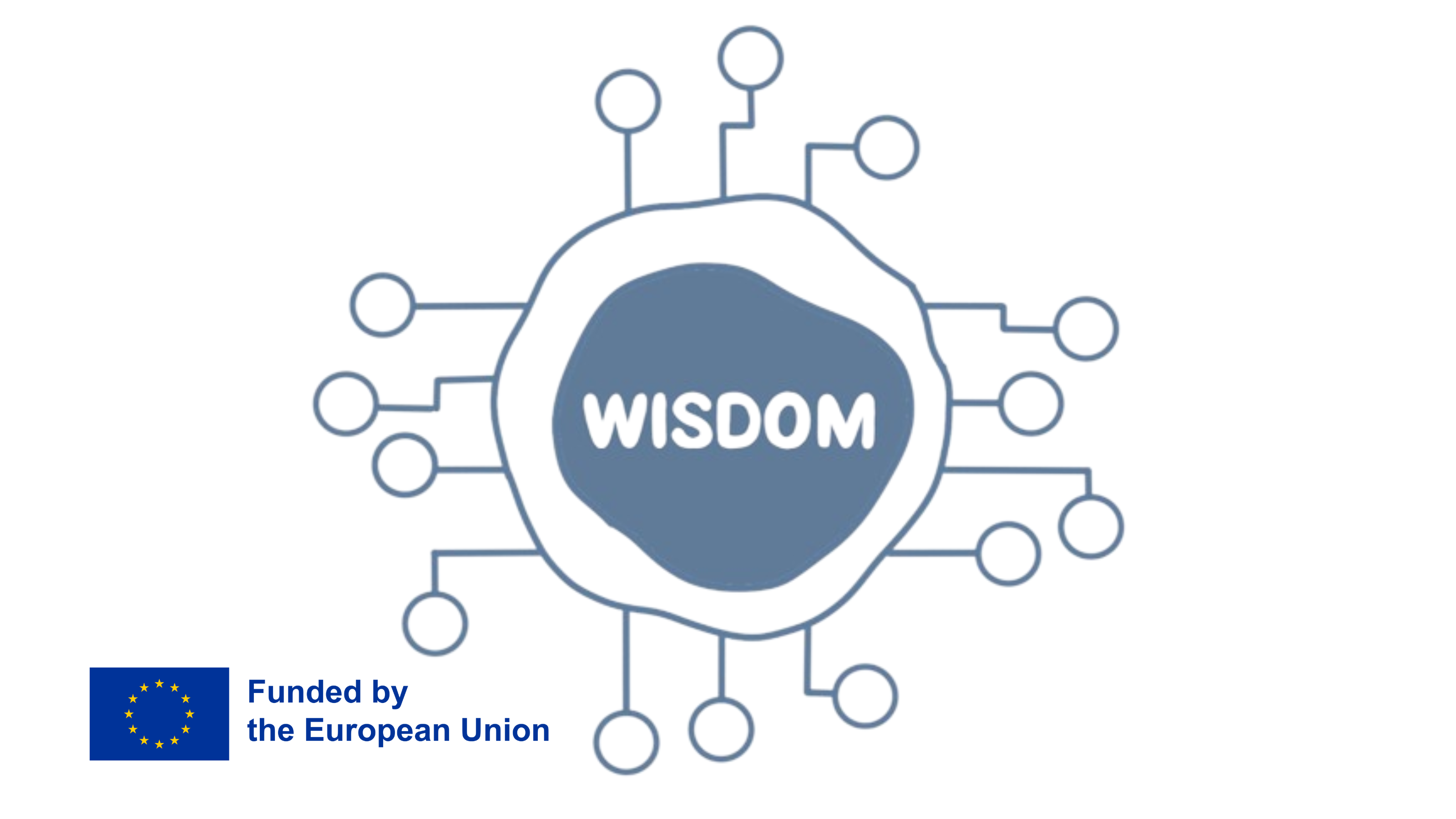 Wisdom project, funded by the European Union