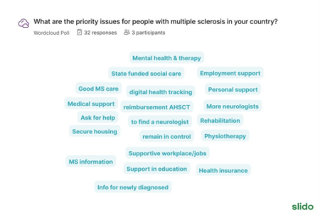 Slido word cloud about most important issues for people with MS in Europe 